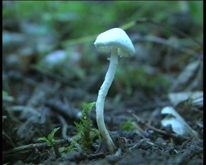 Winkel ( FRA ) 28.08.2004   2 Serie